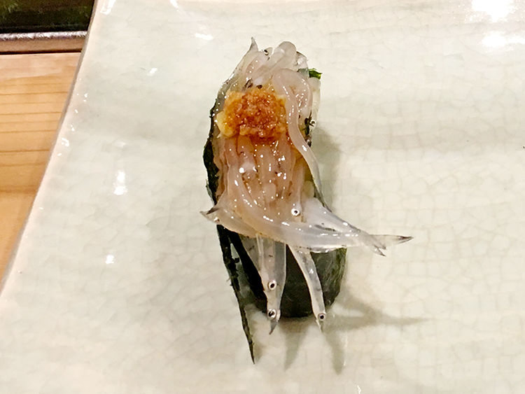 和田上の白魚