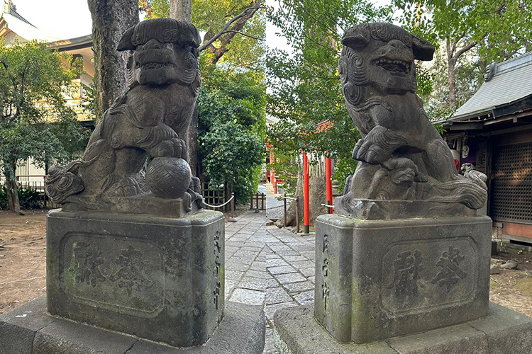 武蔵野八幡宮の参道の両脇にいる狛犬